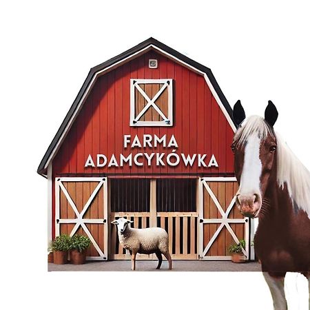 Apartamenty Adamcykowka Blisko Velo Czorsztyn! クルシュコフツェ エクステリア 写真