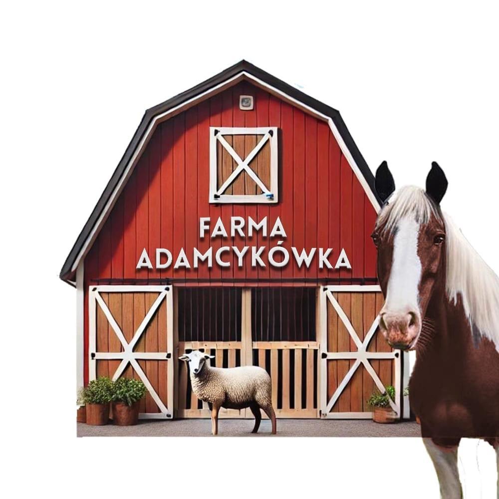 Apartamenty Adamcykowka Blisko Velo Czorsztyn! クルシュコフツェ エクステリア 写真
